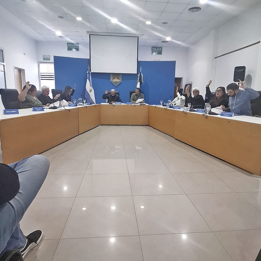 VISIBILIZAR LA VIOLENCIA GINECOBSTÉTRICA: PARTICIPACIÓN ACTIVA EN UNA SESIÓN CLAVE DEL CONCEJO DELIBERANTE