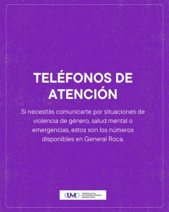 CANALES DE CONTACTO Y ASISTENCIA INSTITUCIONAL FRENTE A LA VIOLENCIA DE GÉNERO